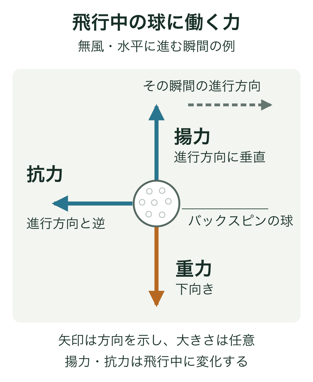 右へ進むバックスピンの球に対して、抗力は左、揚力は上、重力は下に向く図。進行方向の破線と力の実線を区別している。
