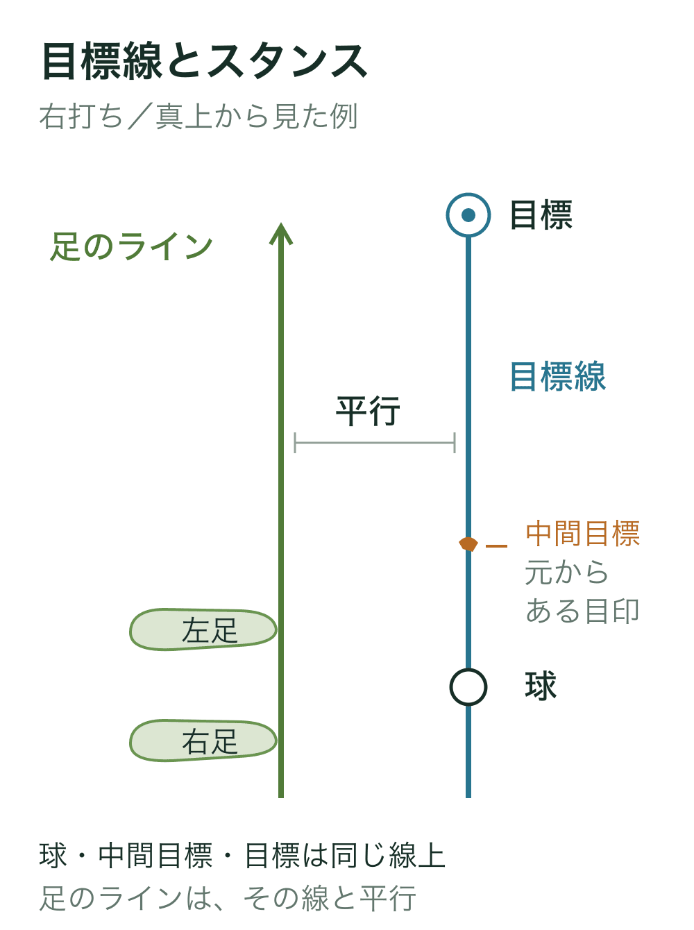 右打ちのアドレスを上から見た図。球・中間目標・遠くの目標が一直線に並び、左側の足のラインは目標線に平行。