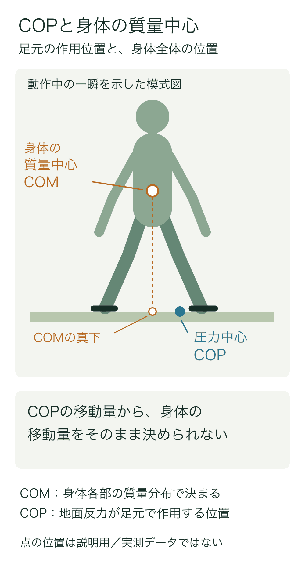 簡略人体の中に橙のCOM、足元に青のCOPを別の位置で描く。COMの鉛直投影点は中空の橙色で区別し、COP移動がそのまま身体の移動ではないと示す。
