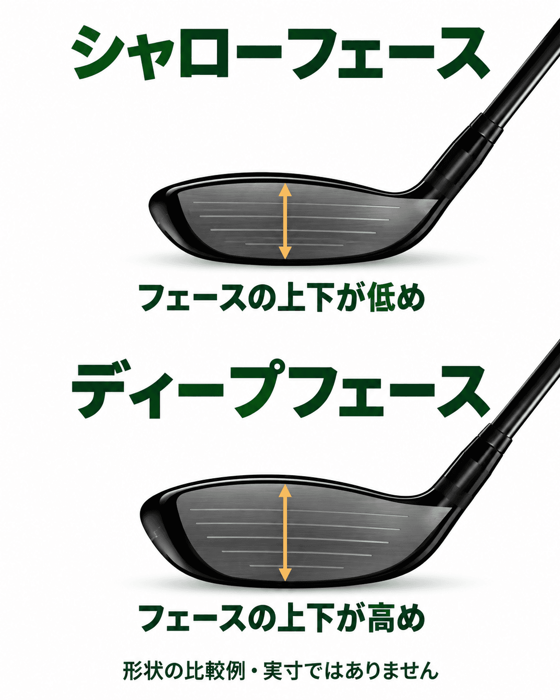 上下に低いシャローフェースと、上下に高いディープフェースを正面から比較し、各フェース中央に高さを示す両矢印を描いた図。