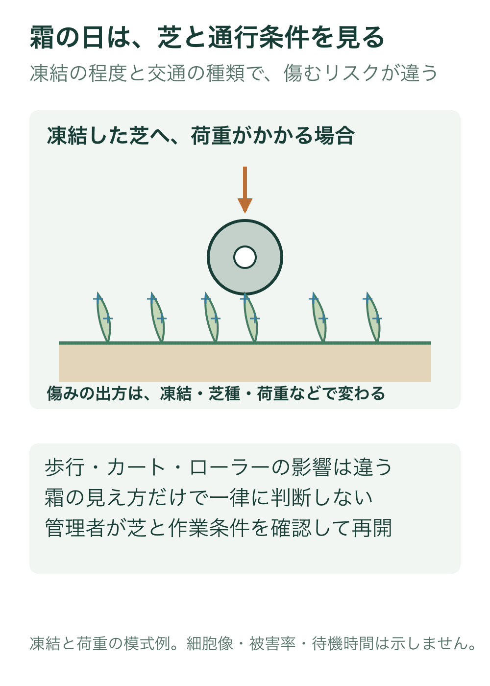 凍結を青の結晶記号で示した芝に、車輪から荷重がかかる場合を模式化する。歩行、カート、ローラーの影響は同一ではなく、再開判断は管理者が芝や作業条件を確認して行う。