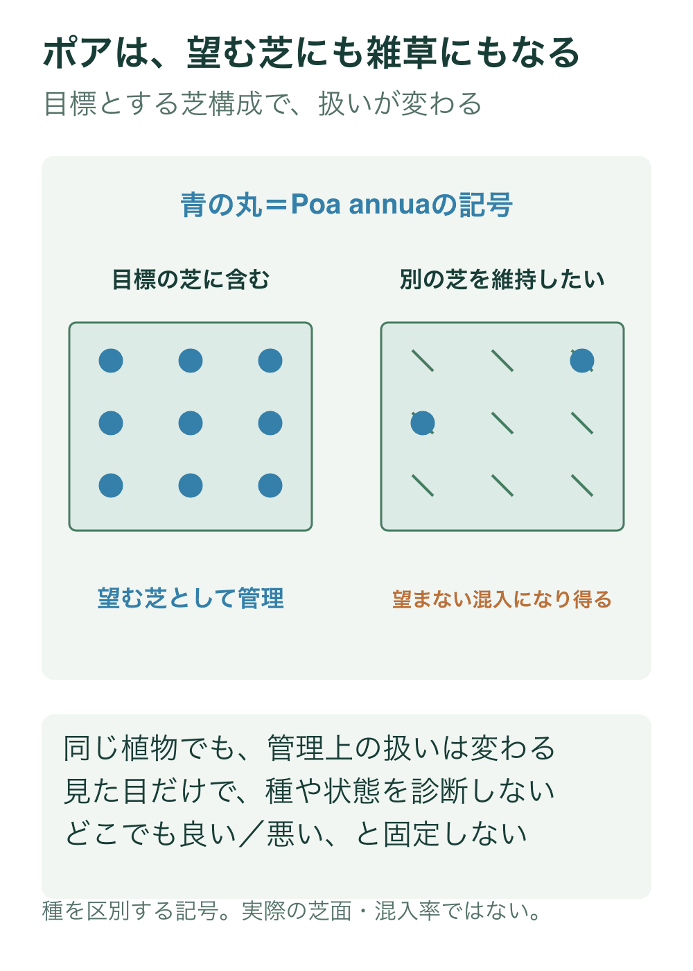 同じ青い丸のPoa annuaの記号を、望む芝として構成した面と、別の芝を維持したい面への混入の二つに置く。