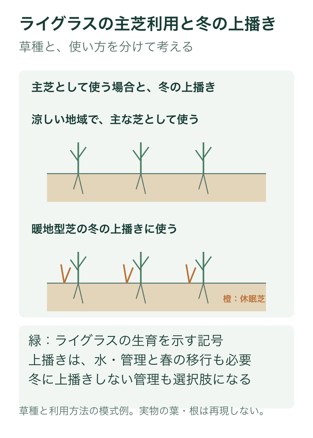 上段はライグラスを主な芝として使う模式断面、下段は橙の暖地型休眠芝の間にライグラスが生育する冬のオーバーシードを示す。