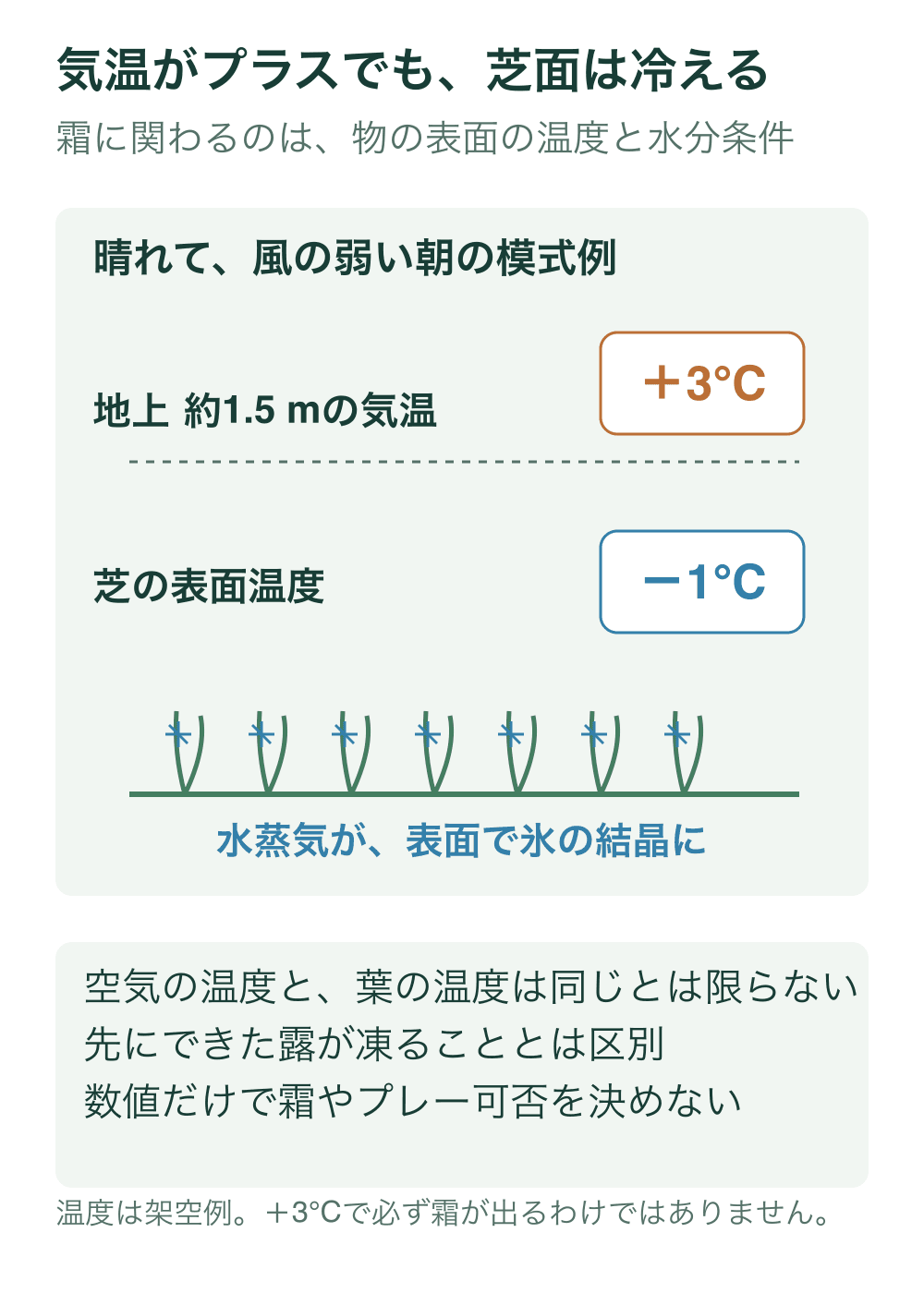 約1.5mの気温がプラス3℃でも芝葉の表面がマイナス1℃になり得る架空例。水蒸気が葉表面で氷の結晶になる霜を描く。