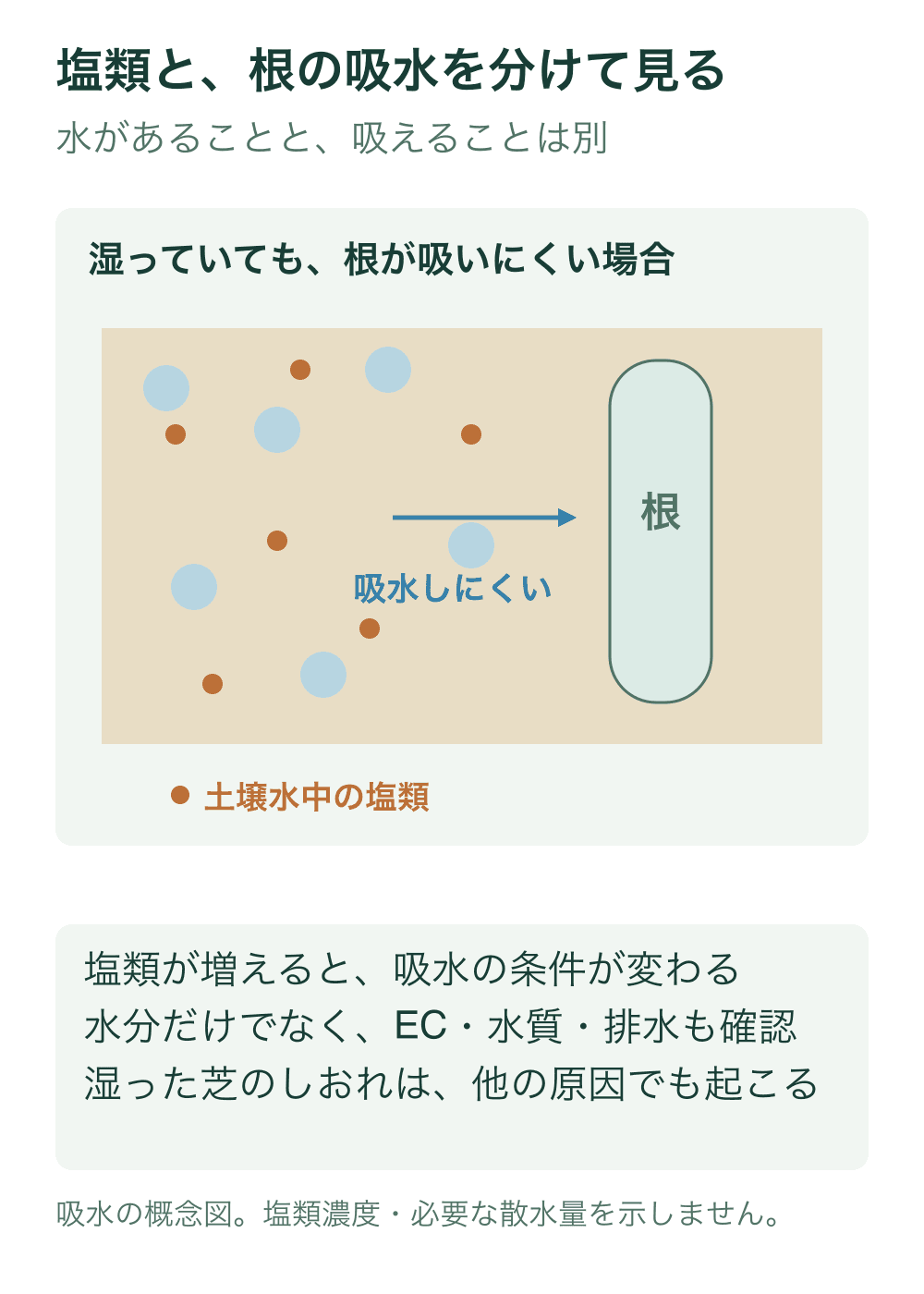 湿った根域の土壌水と塩類を青い領域と橙の点で示し、根へ向かう細い矢印に吸水しにくいと添えた概念図。