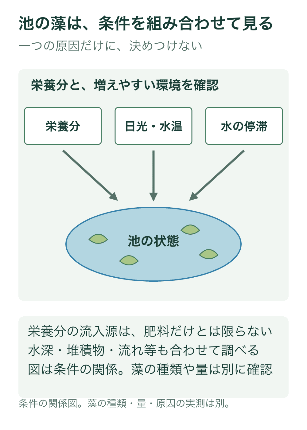 栄養分、日光・水温、水の停滞の三つの確認項目を池へ向かう関係線で示し、池内に藻の抽象記号を置く。