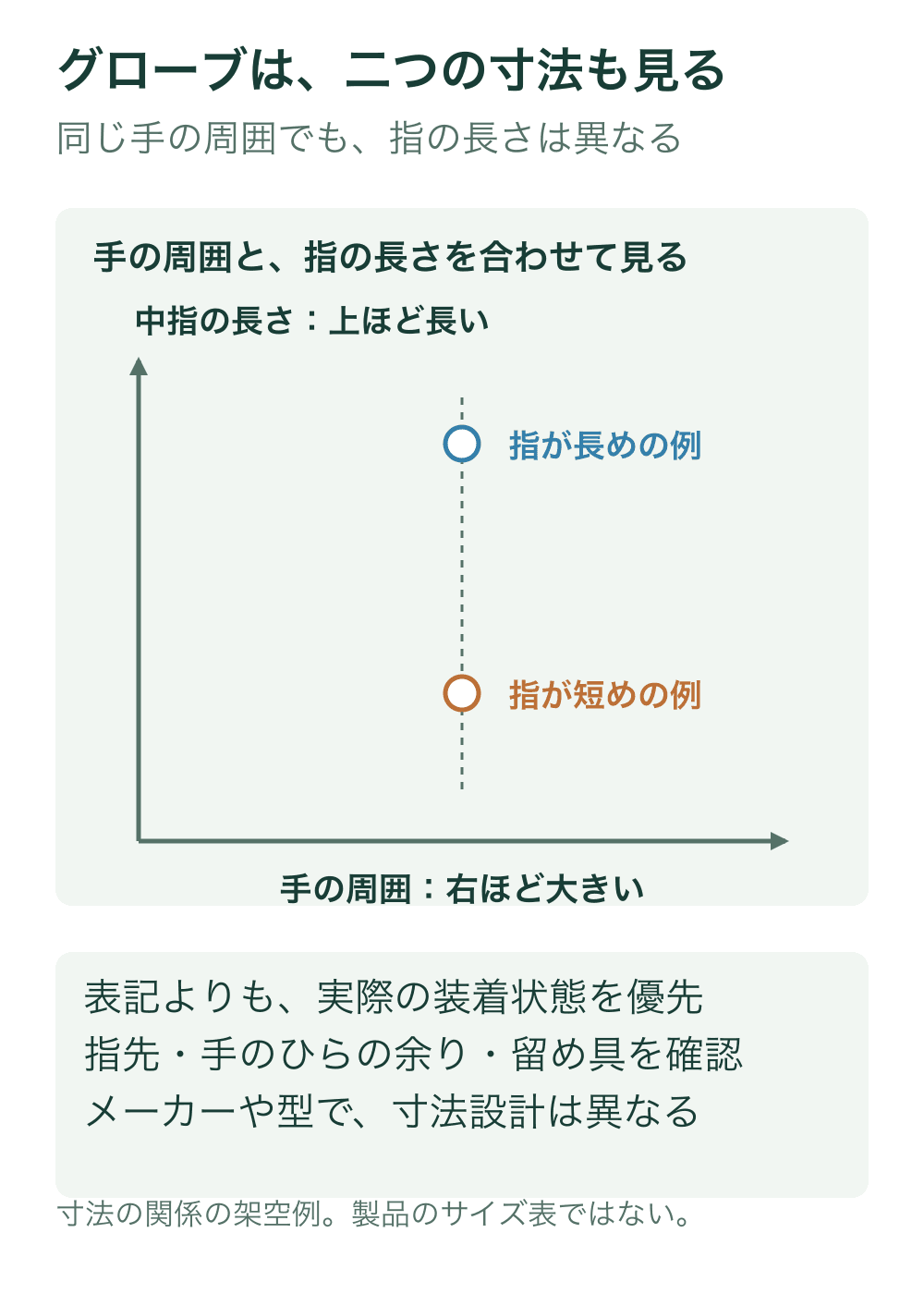 横軸を手の周囲、縦軸を中指の長さとし、同じ横位置で高さだけ違う二つの架空点を描く。