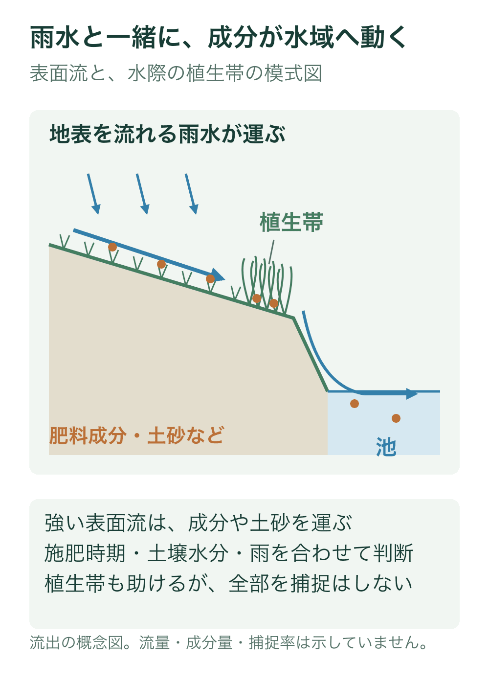 斜面の芝面を流れる雨水が肥料成分や土砂を運び、水際の植生帯を経て池へ入る模式図。橙の点は移動物の概念で、全てを植生帯で止めた図にはしない。