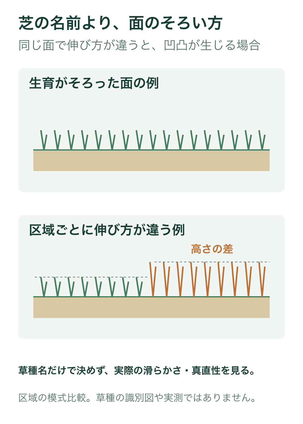 同じ地表から同じ高さへ伸びた芝の例と、右側の区域だけ葉が長く伸びた例を比較する。色は区域の識別で、特定草種の色や形を再現しない。