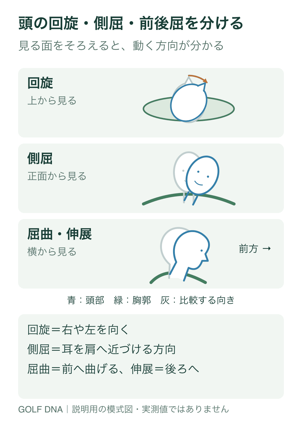頭の回旋・側屈・前後屈を分ける。頭部の回旋・側屈・屈曲伸展を、異なる観察面で比較した模式図です。青が頭部、緑が胸郭、灰が比較する向きです。角度・可動域・頸椎各節の運動を再現していません。固定座標に対する頭部姿勢と、胸郭に対する相対角は計測定義を分けて確認します。