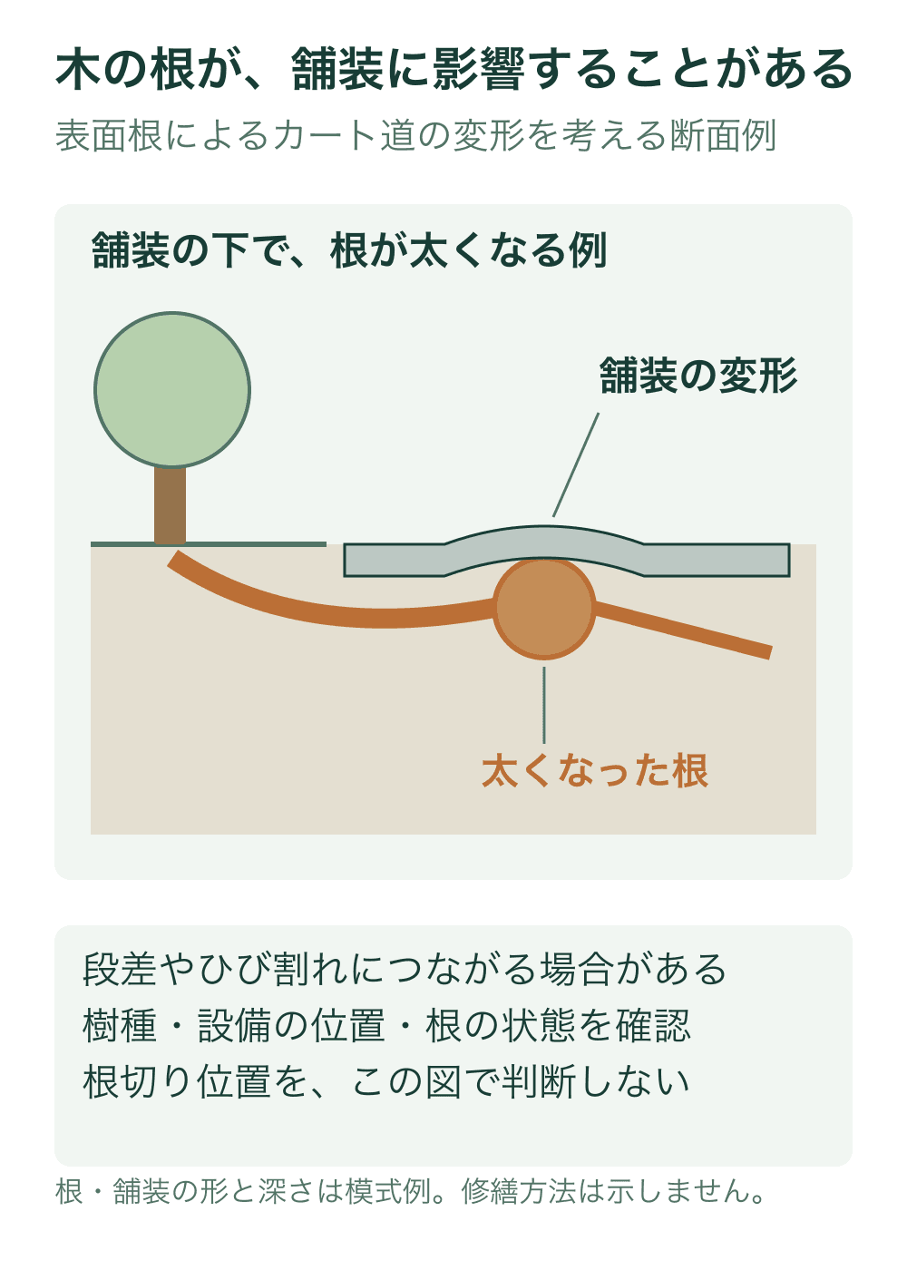木から広がる浅い根と、太くなった根の上で盛り上がる舗装を描いた断面模式例。