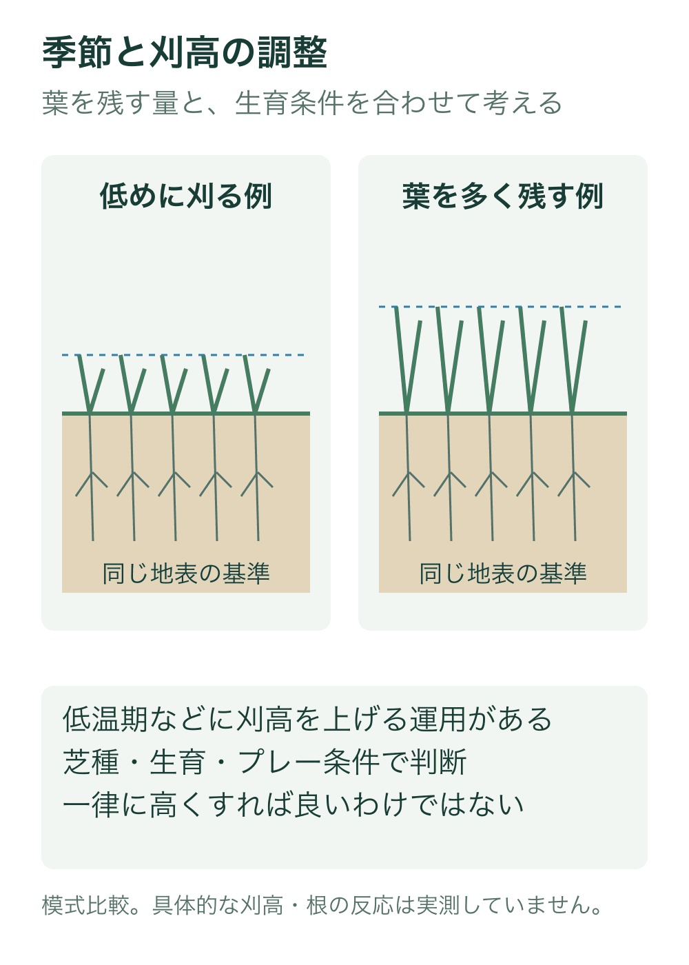 同じ地表の高さから、低めに刈った葉と葉を多く残した例を並べる。葉先の基準線を分け、根の模式形は同じにして刈高だけを比較する。