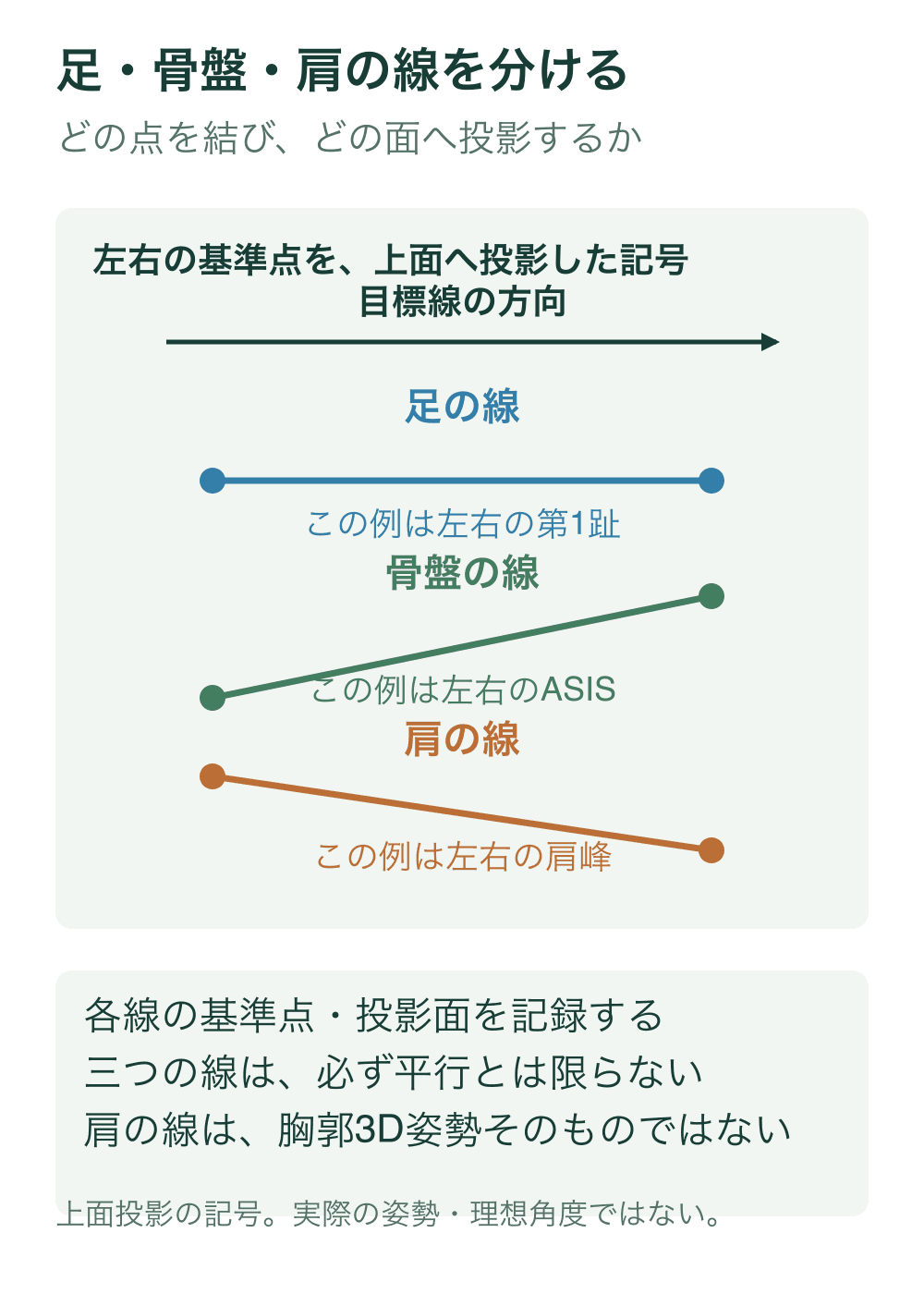 足、骨盤、肩について異なる左右基準点から作る線を、上面への投影記号として三段に分ける。