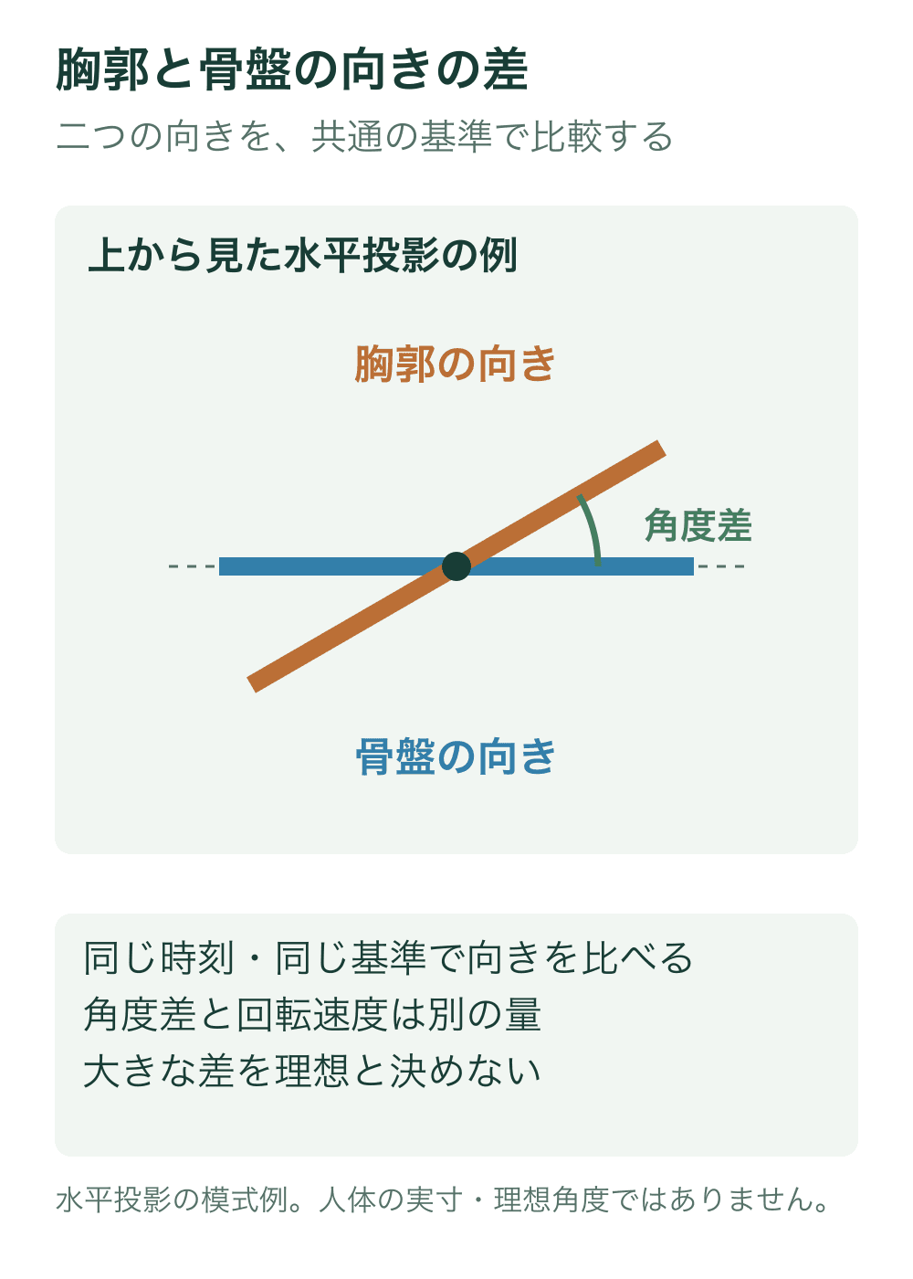 上から見た二本の線で骨盤と胸郭の水平投影方向を示し、同じ中心からの小さな円弧で方向の差を示す。
