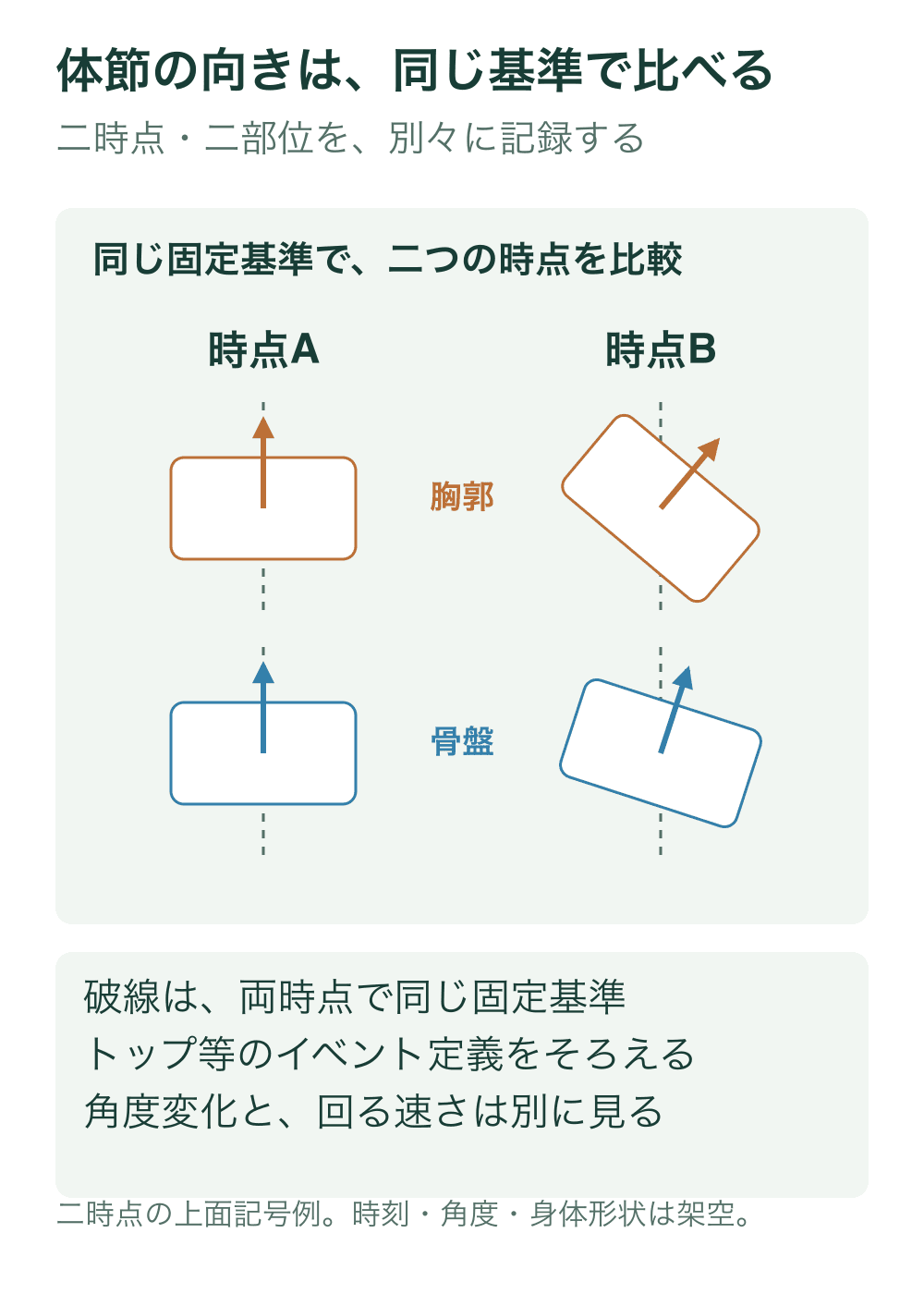 時点AとBで固定方向の破線を同じに保ち、胸郭と骨盤の方向記号を別々に比較する上面図。