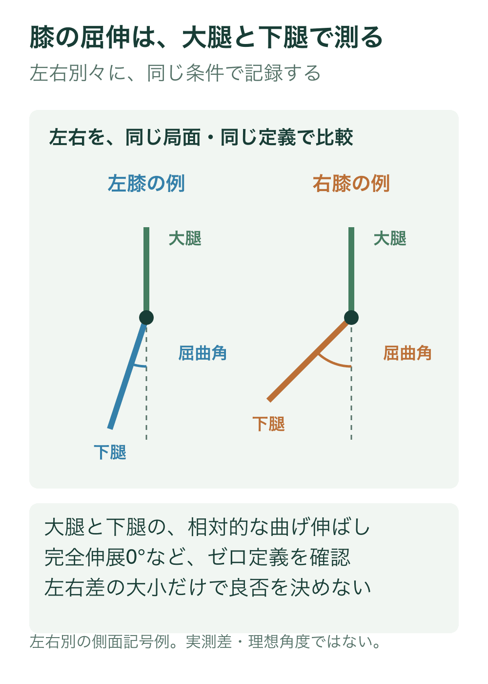 左右膝を別々の側面線記号で表し、大腿の延長線からの屈曲角を示す。