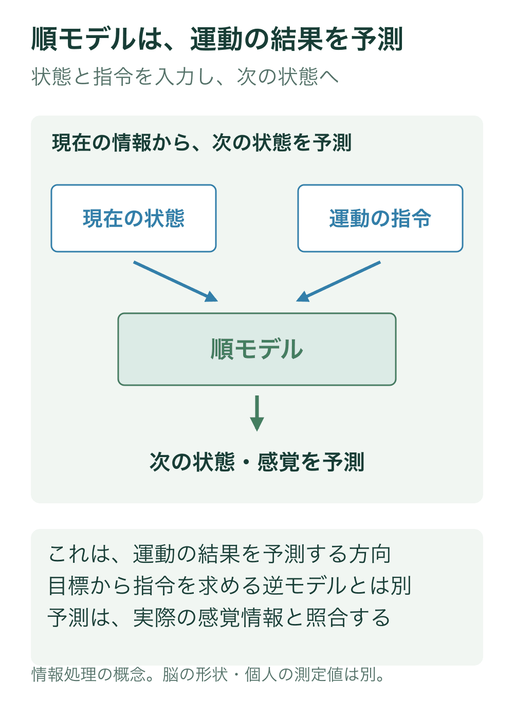 現在の身体状態と運動指令から順モデルへ二本の矢印を入れ、次の状態や感覚の予測へ進むブロック図。