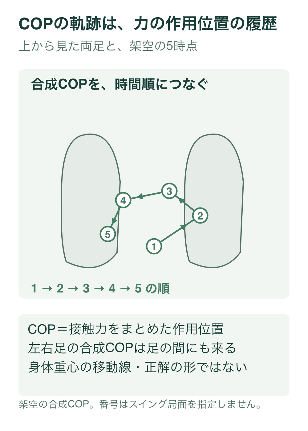 上から見た両足の接地区域の間に、左右足の合成COPの架空の5位置を時間順に結ぶ。合成COPは片足の輪郭の外にもあるが、両足の支持領域の凸包内に収める。