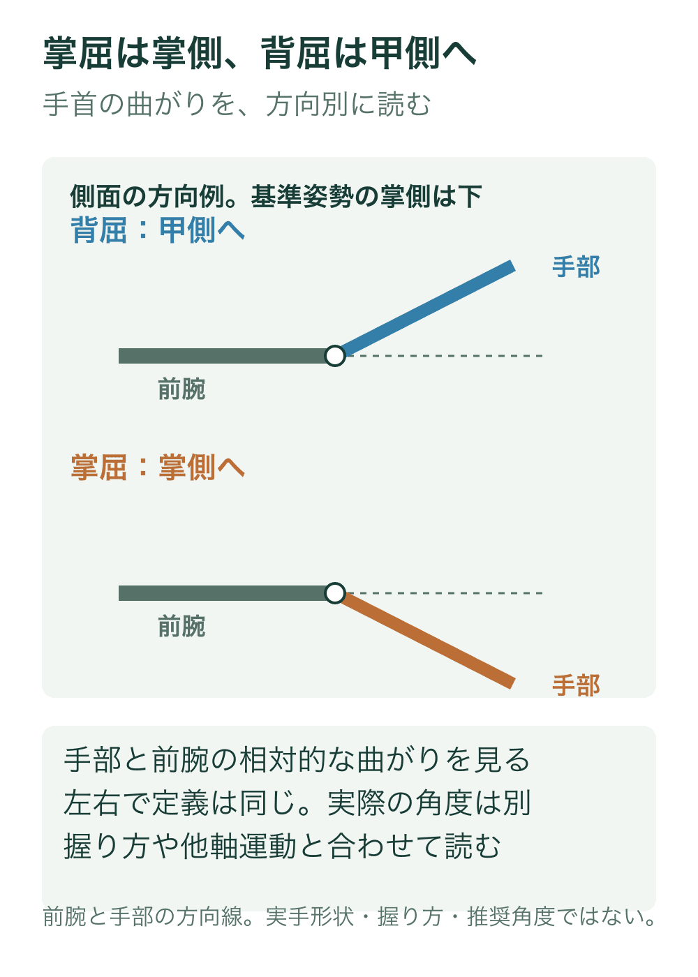 前腕を灰色線、手部を色線で表し、基準姿勢の掌側を下にした側面例で上へ反る背屈と下へ曲がる掌屈を別段に示す。