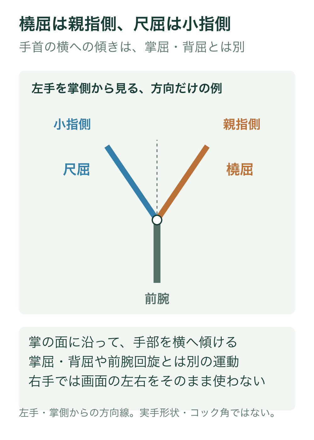 左手を掌側から見る方向例で、前腕軸から手部が小指側へ向く尺屈と親指側へ向く橈屈を色線で分ける。
