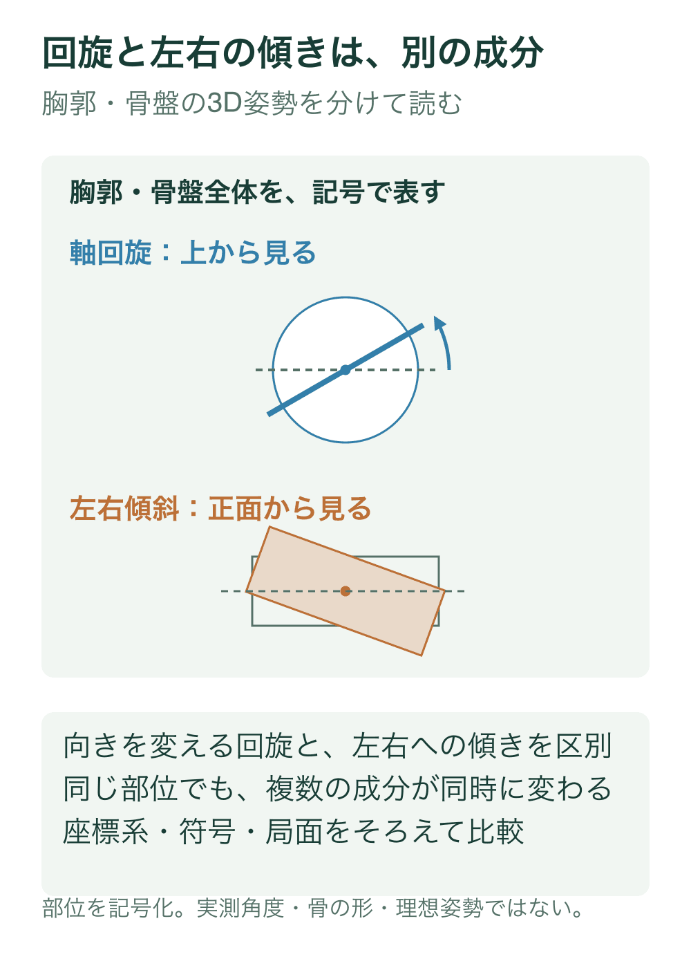 上段は胸郭や骨盤の上面を円と横軸で記号化した軸回旋、下段は正面の矩形の左右傾斜を示す。