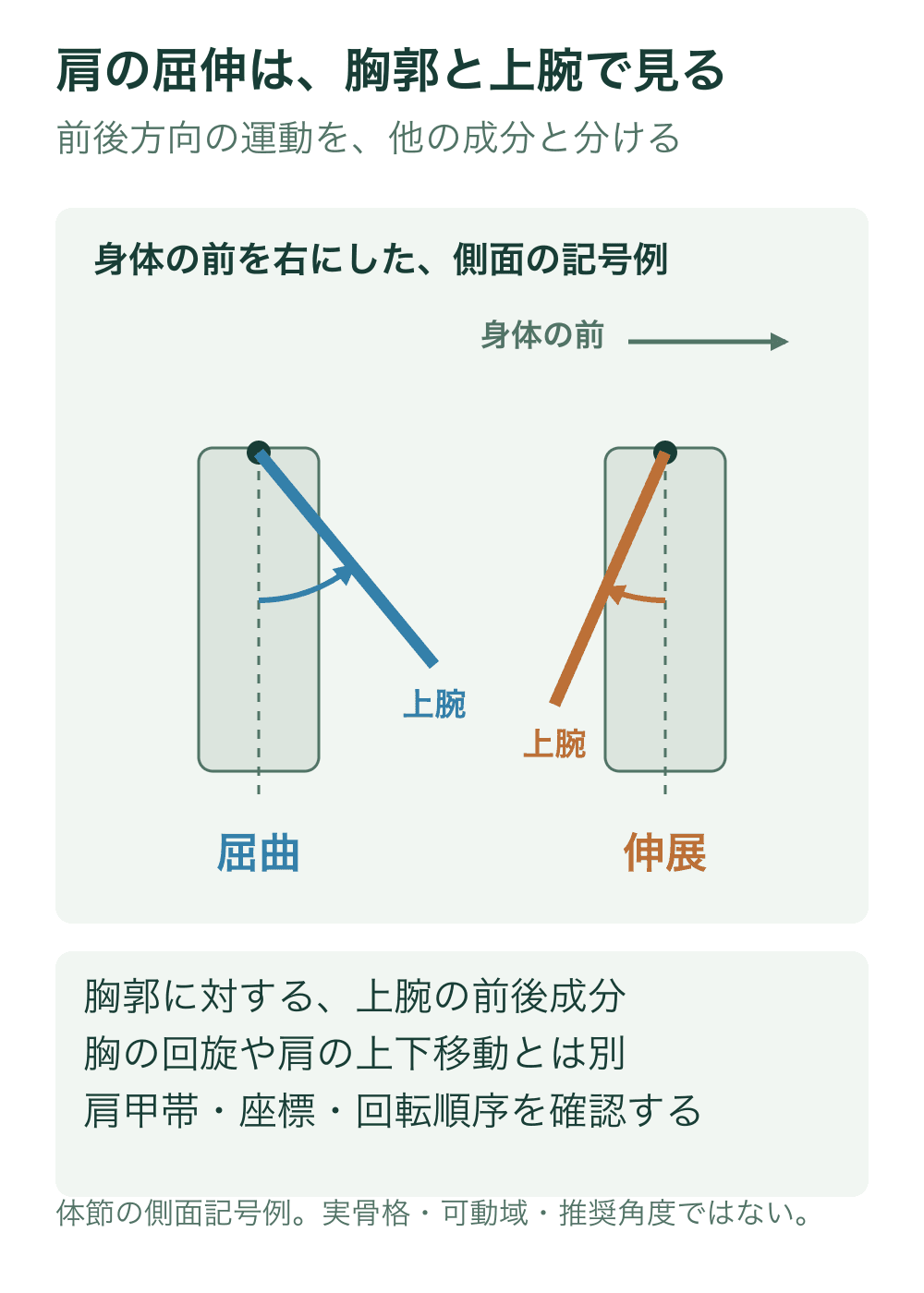 胸郭を緑のブロック、上腕を線で表し、前方へ動く屈曲と後方へ動く伸展を側面記号で示す。