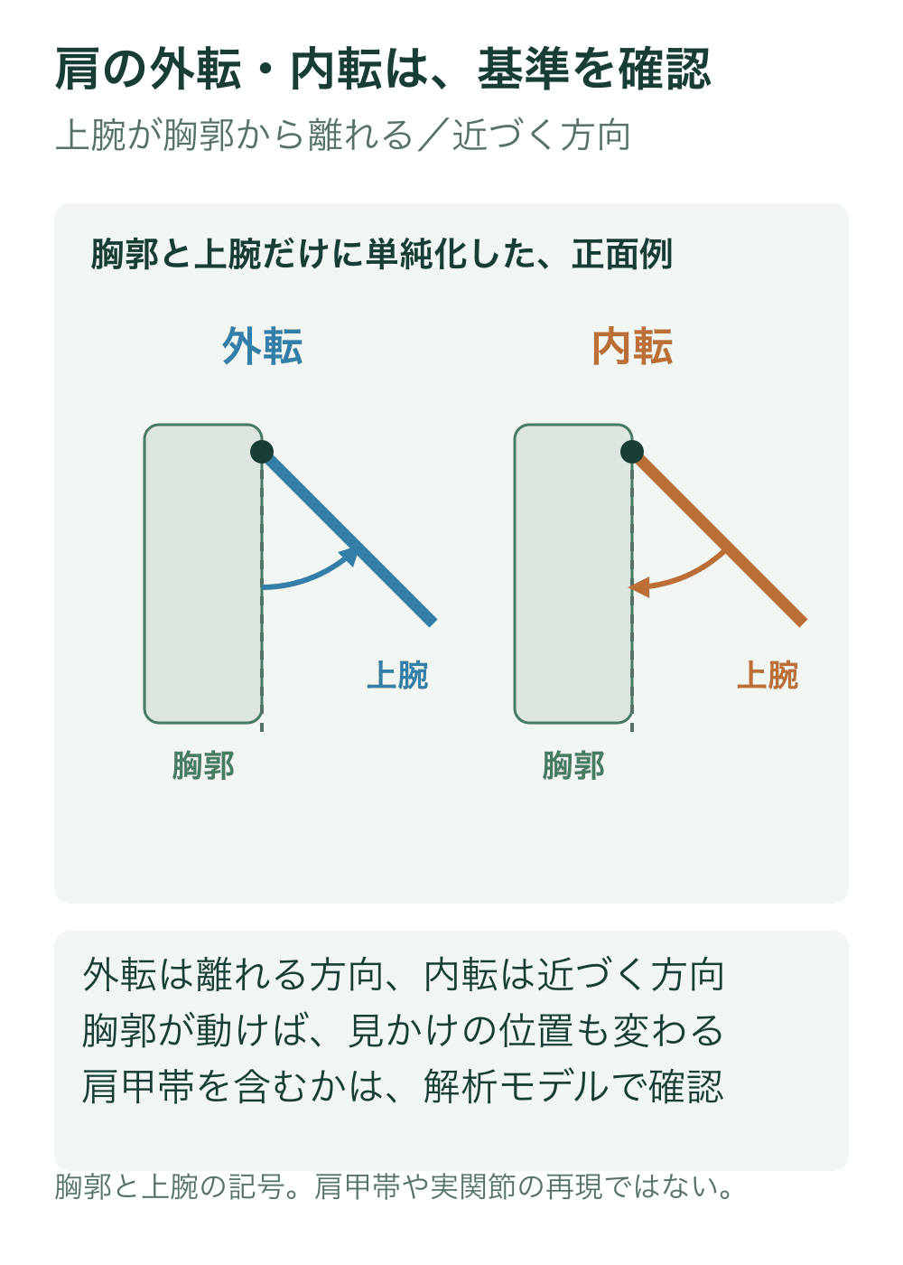 胸郭をブロック、上腕を線で表し、外転と内転を反対向きの曲線矢印で示す前面記号図。