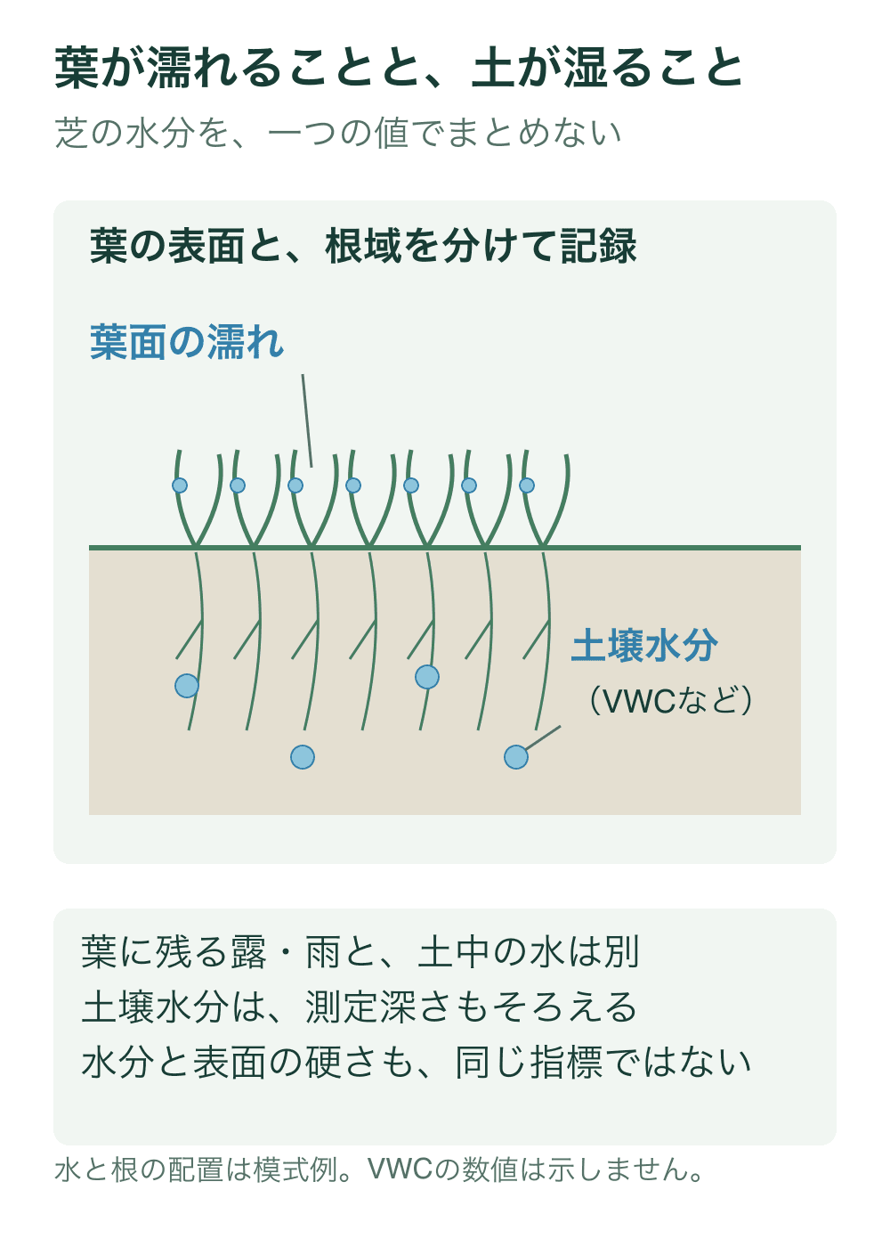 葉の表面にある青い水滴と、根域の土中にある青い水を分けて示す模式断面。水滴量や体積割合は描かない。
