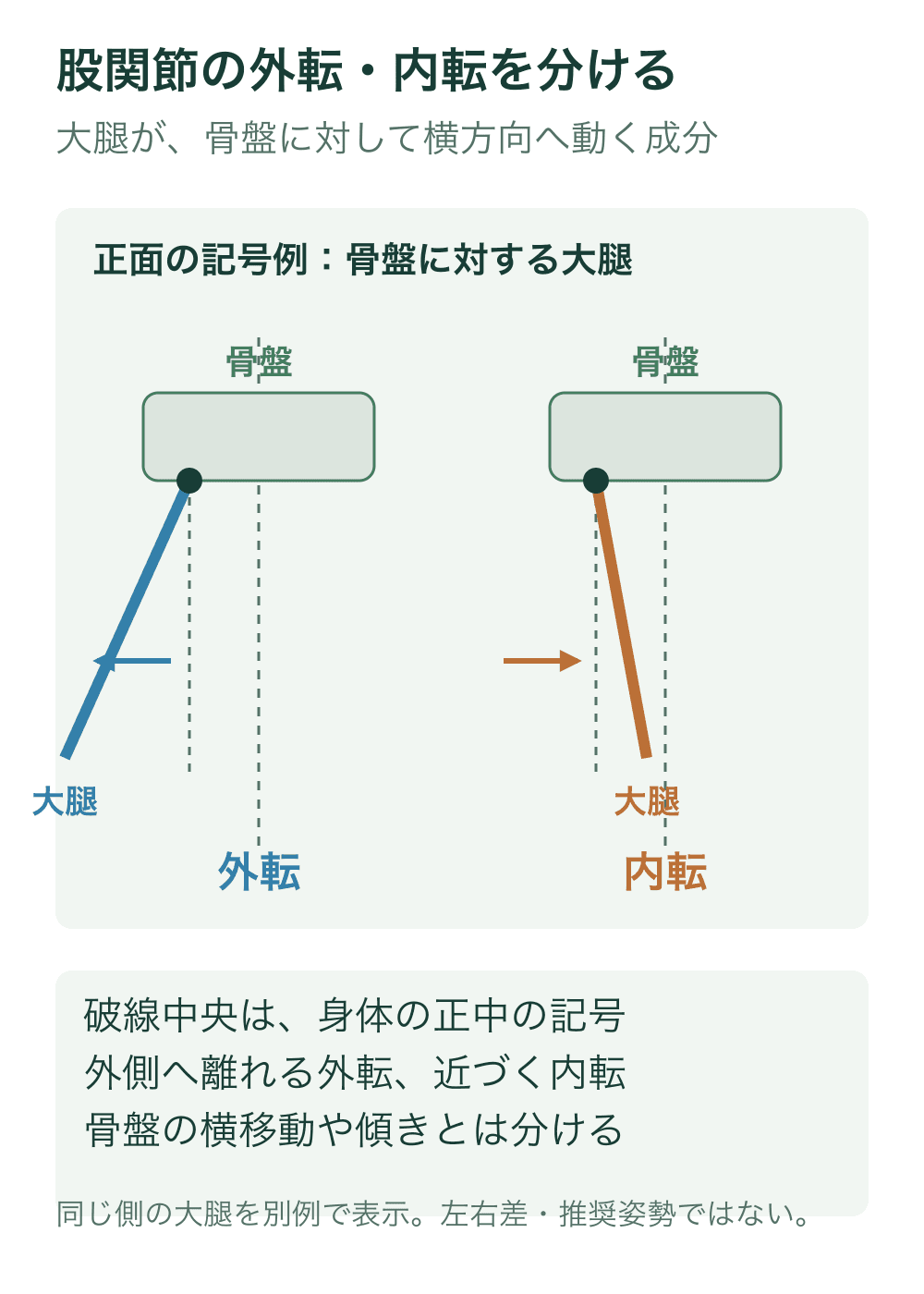 各パネルの身体正中を破線で示し、同じ側の大腿が外側へ離れる外転と内側へ近づく内転を前面記号で区別する。