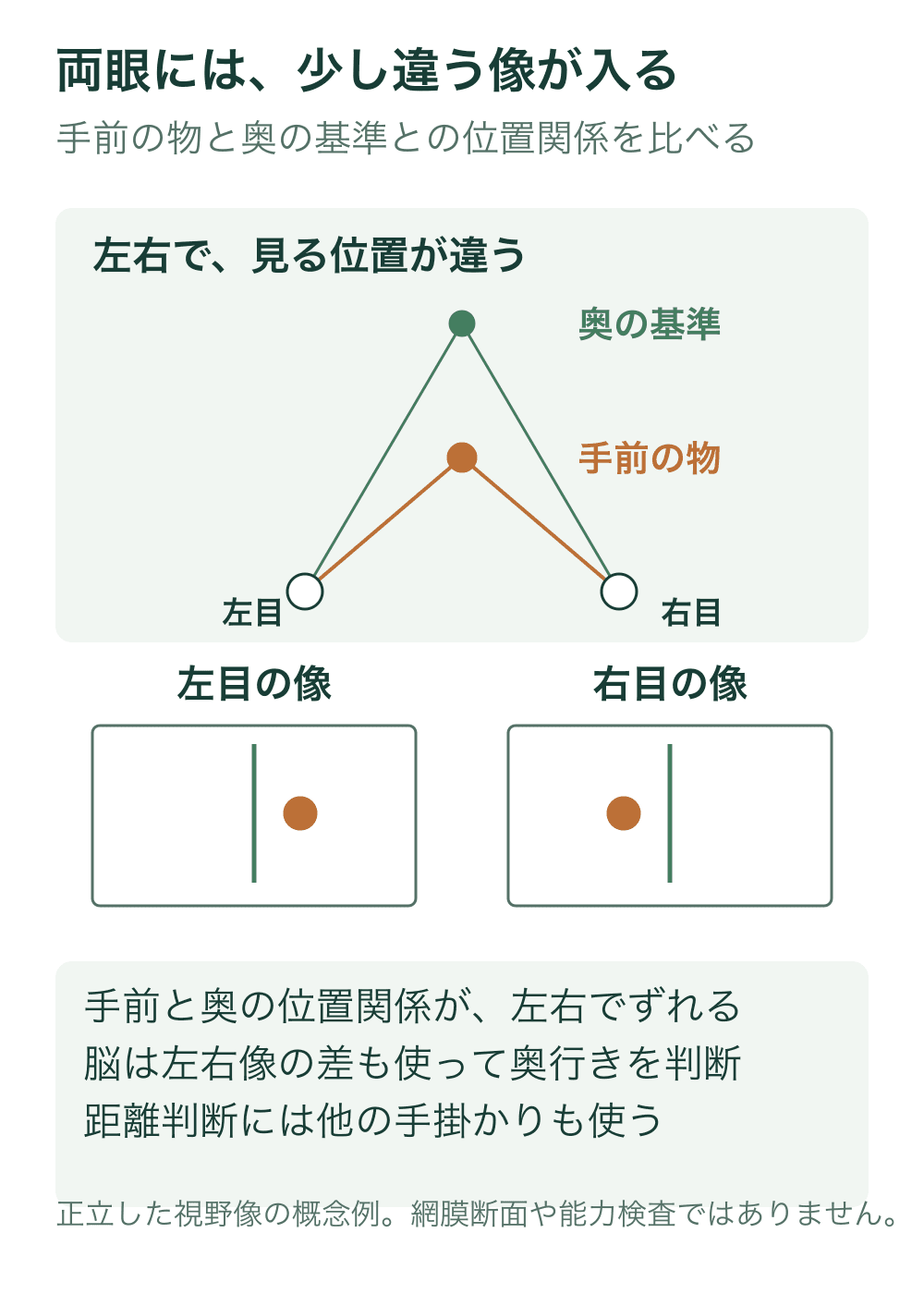 上段で左右の目から同じ手前の物と奥の基準を見る方向を示す。下段の正立した視野像では、手前の橙点が左目で基準の右、右目で基準の左へずれる。網膜の断面や倒立像ではない。