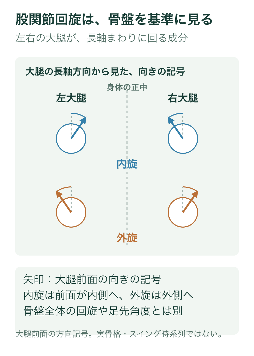 身体の正中を基準に左右の大腿前面方向を矢印で表し、内旋では前面が正中側へ、外旋では外側へ向く長軸方向の記号図。