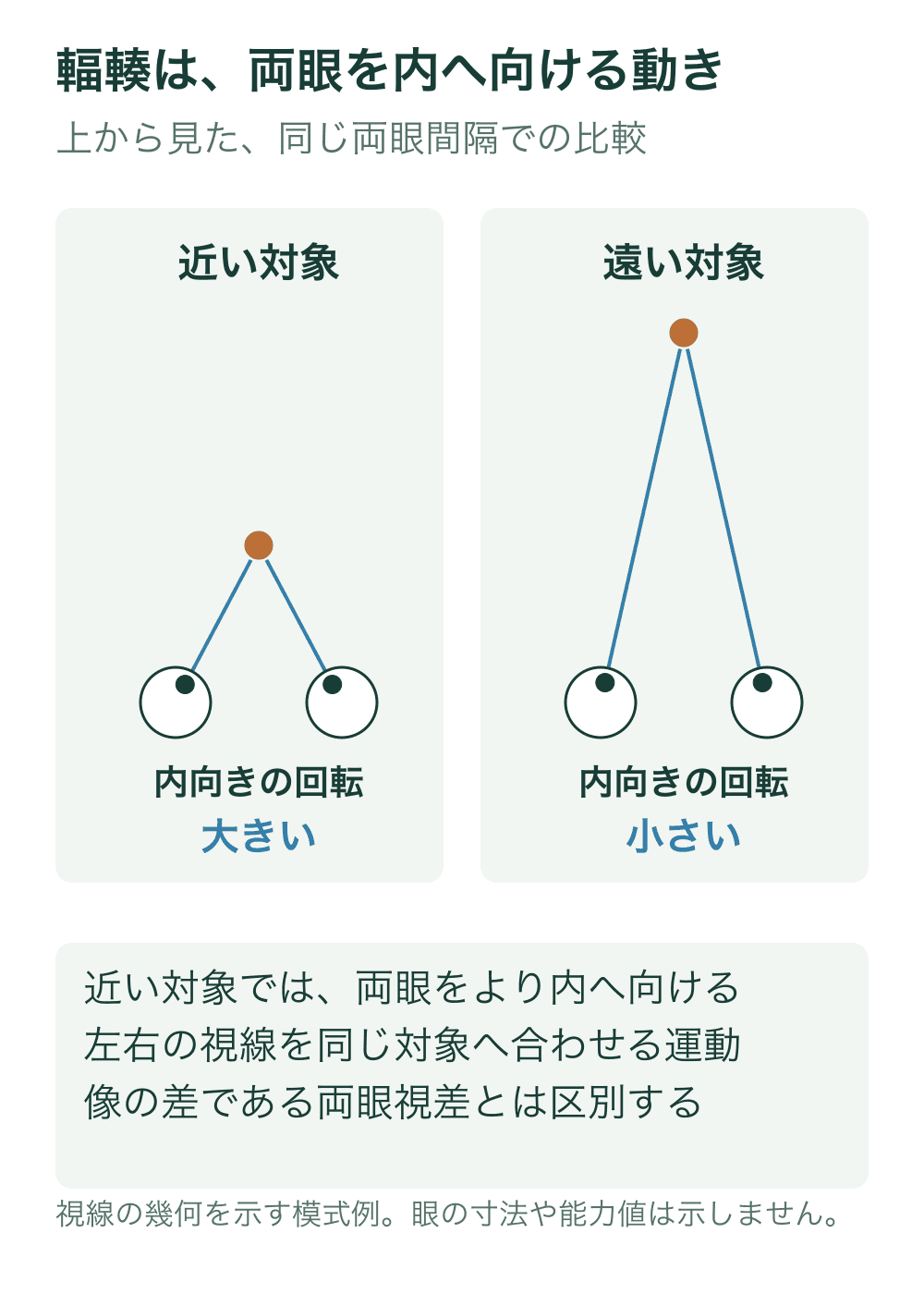 両眼の間隔を同じにして近い対象と遠い対象を比較する。近い対象へ向かう視線はより強く内側へ傾き、遠い対象では内向きの角度が小さい。眼の円は視線方向の概念を示す。
