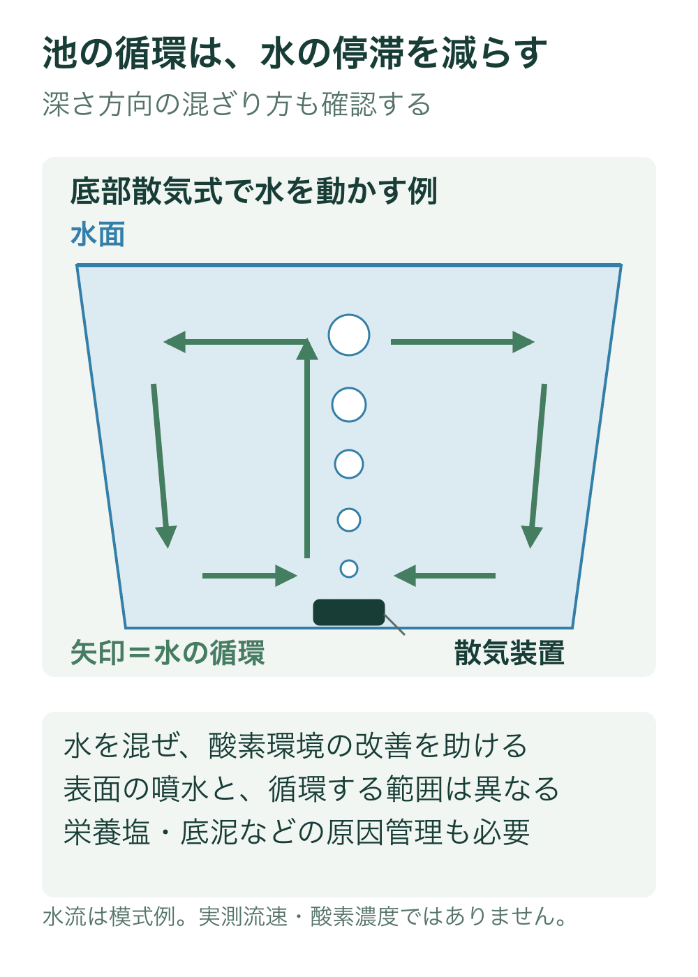 池の底部の散気装置から気泡が上がり、周りの水が上昇・表面方向への広がり・下降・底部への戻りの経路で動く側面模式図。矢印は水流で、酸素濃度の分布ではない。