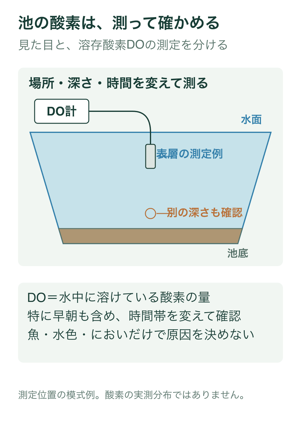 池の側面模式図で、DO計のプローブを表層へ入れた例と、別の深さの確認位置を示す。水面と池底を区別し、実測DO値や固定の垂直分布は示さない。