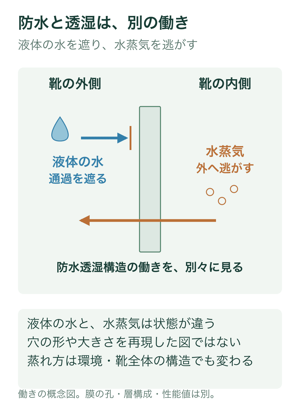 緑の帯を防水透湿構造として、外側の水滴は青矢印が帯の手前で止まる。内側の水蒸気は橙の小さな輪と、外向きに帯を横切る橙矢印で示す。