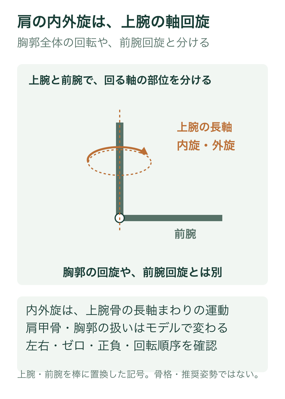 肘を曲げた腕を二本の棒へ置き換え、上腕の長軸とそのまわりの回旋を示し、前腕を別の棒として表す。