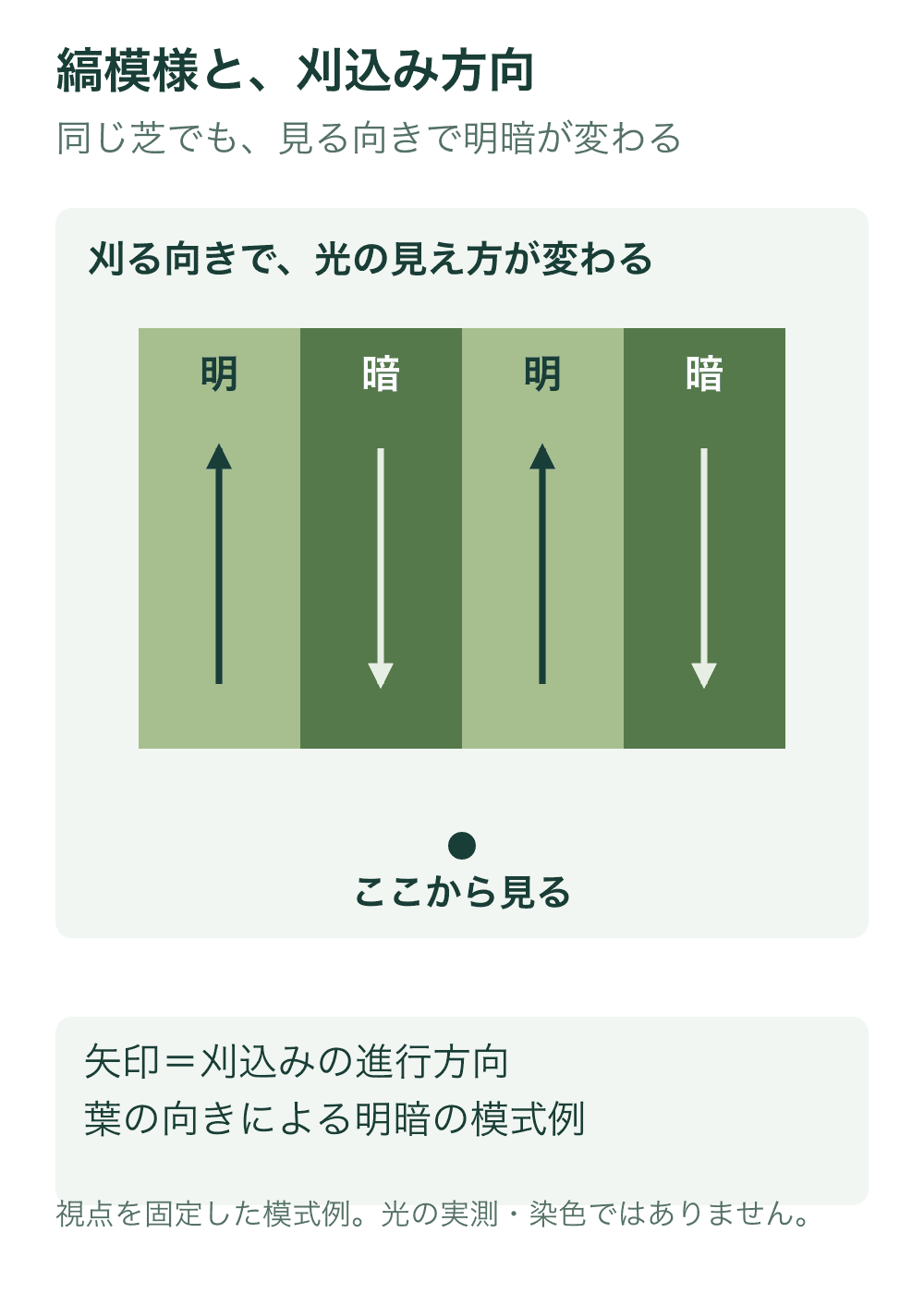 見る位置を芝面の手前に固定した平面図。見る人から遠ざかる上向きの刈込み帯を明るく、見る人へ近づく下向きの帯を暗く示す。