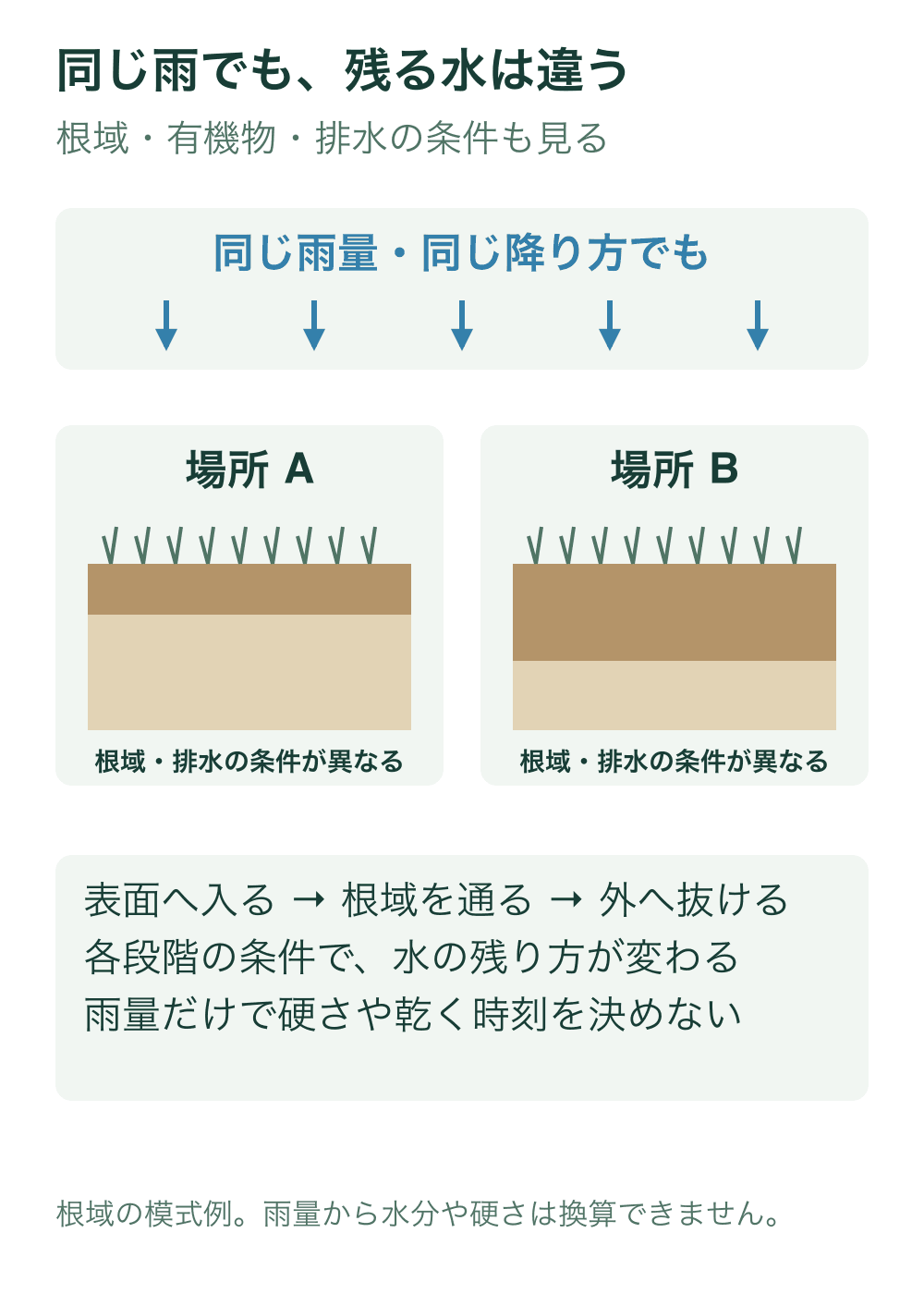 同じ雨を受ける二つの芝地を並べ、表層と根域の構造が異なる例を示す。水が入る、通る、外へ抜ける各段階の条件を確認する。
