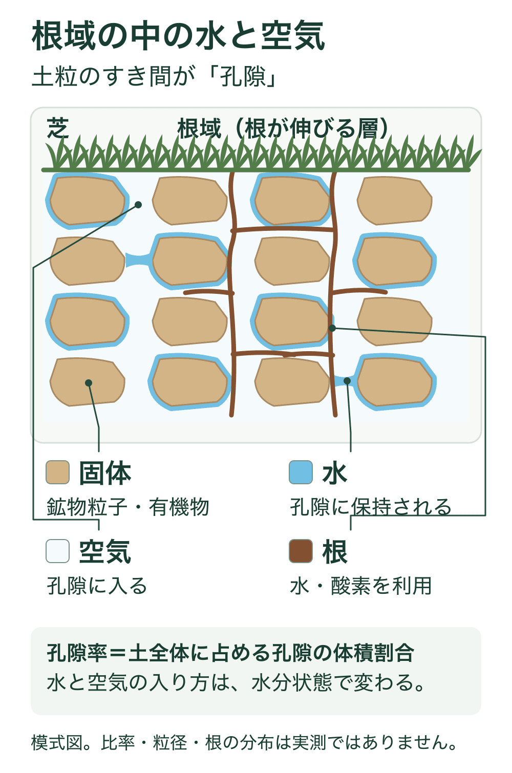 芝の下の根域を拡大した模式断面。固体粒子の間に孔隙があり、水と空気が入る。芝の根はそのすき間を通って伸びる。固定の配合比率や理想値を示す図ではない。