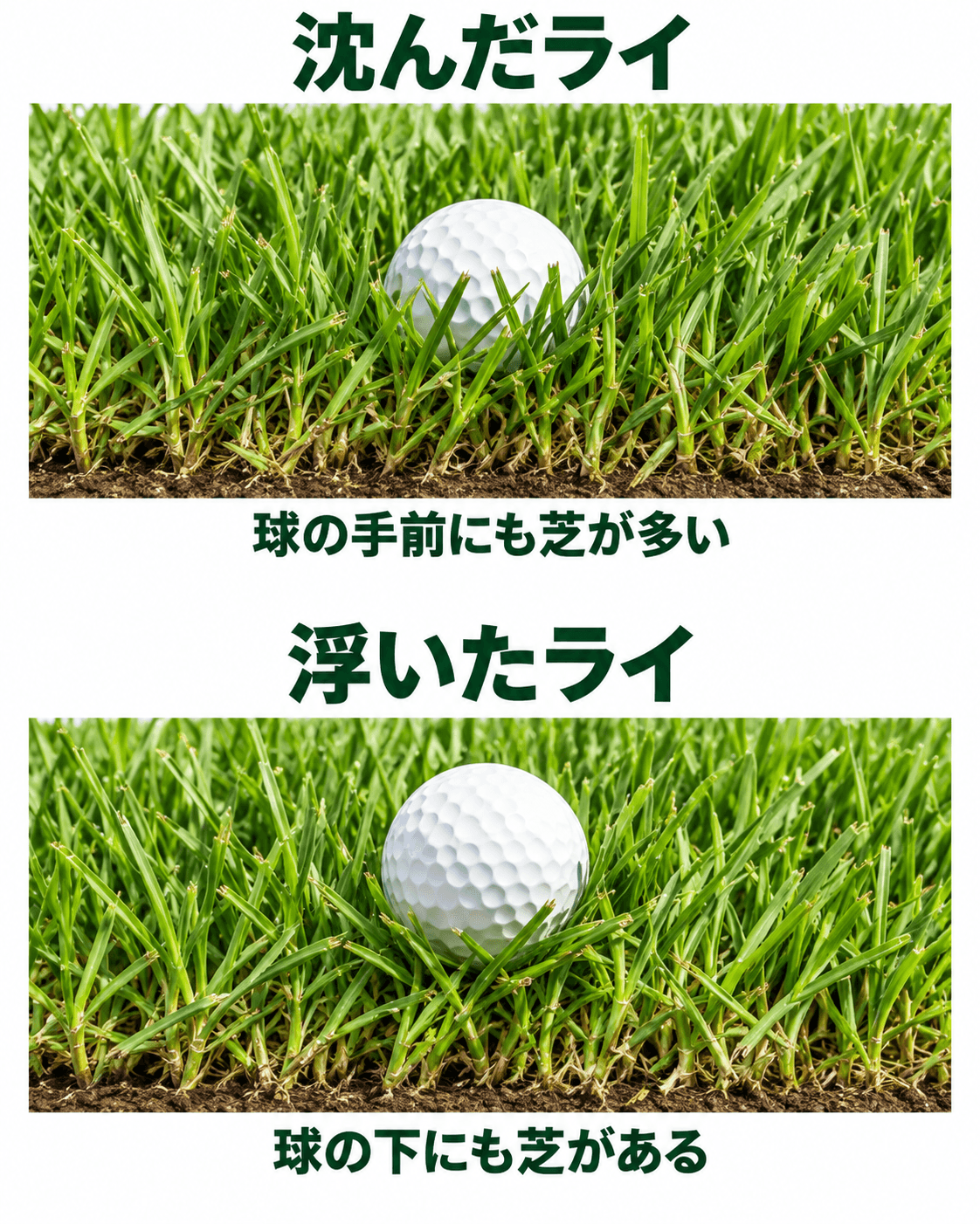 上は芝に隠れた沈んだ球、下は芝の上部に支えられた浮いた球を、地面からの高さとともに比較している。