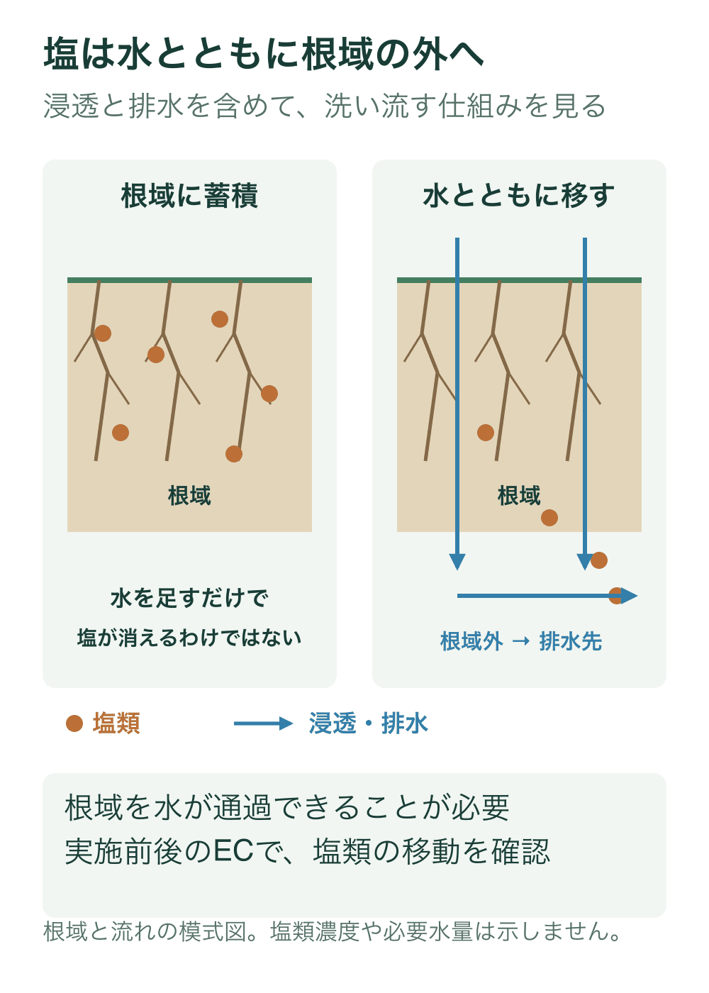 左は根が使う深さに塩類が蓄積した断面。右は水が根域を通過し、溶けた塩類を根域外から排水先へ運ぶ模式図。橙の点は塩類、青の矢印は水の通り道を表す。