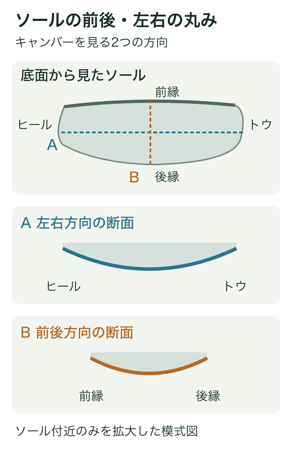 上のソール底面図で、Aはヒール・トウを結ぶ横線、Bは前縁・後縁を結ぶ縦線。下の同じ色の2断面で、下面が丸く膨らむ左右方向と前後方向を示している。