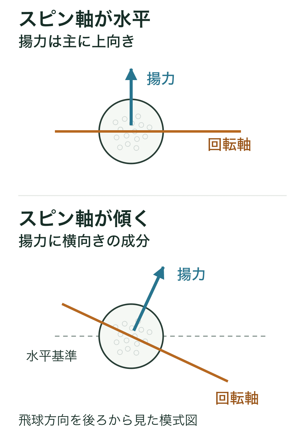 回転軸が水平なボールでは揚力が上向き、軸を傾けたボールでは揚力も斜めになり横向きの成分が生まれる比較図。
