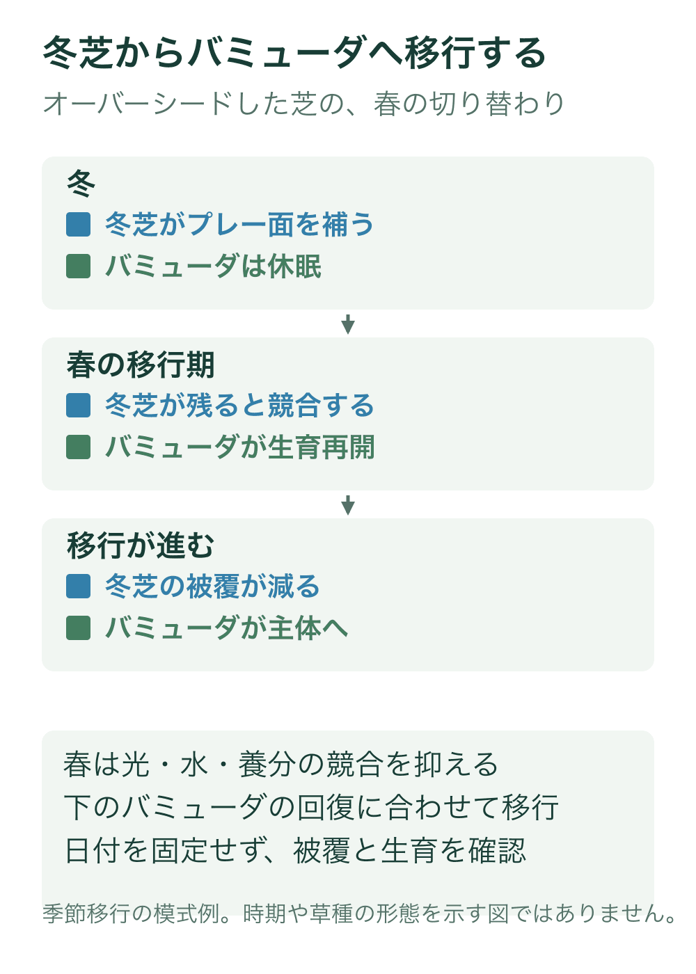 冬、春の移行期、移行が進んだ段階を順に示す。青で冬芝のライグラス、緑でベースのバミューダグラスを表し、春は両者の光、水、養分の競合が生じうる。