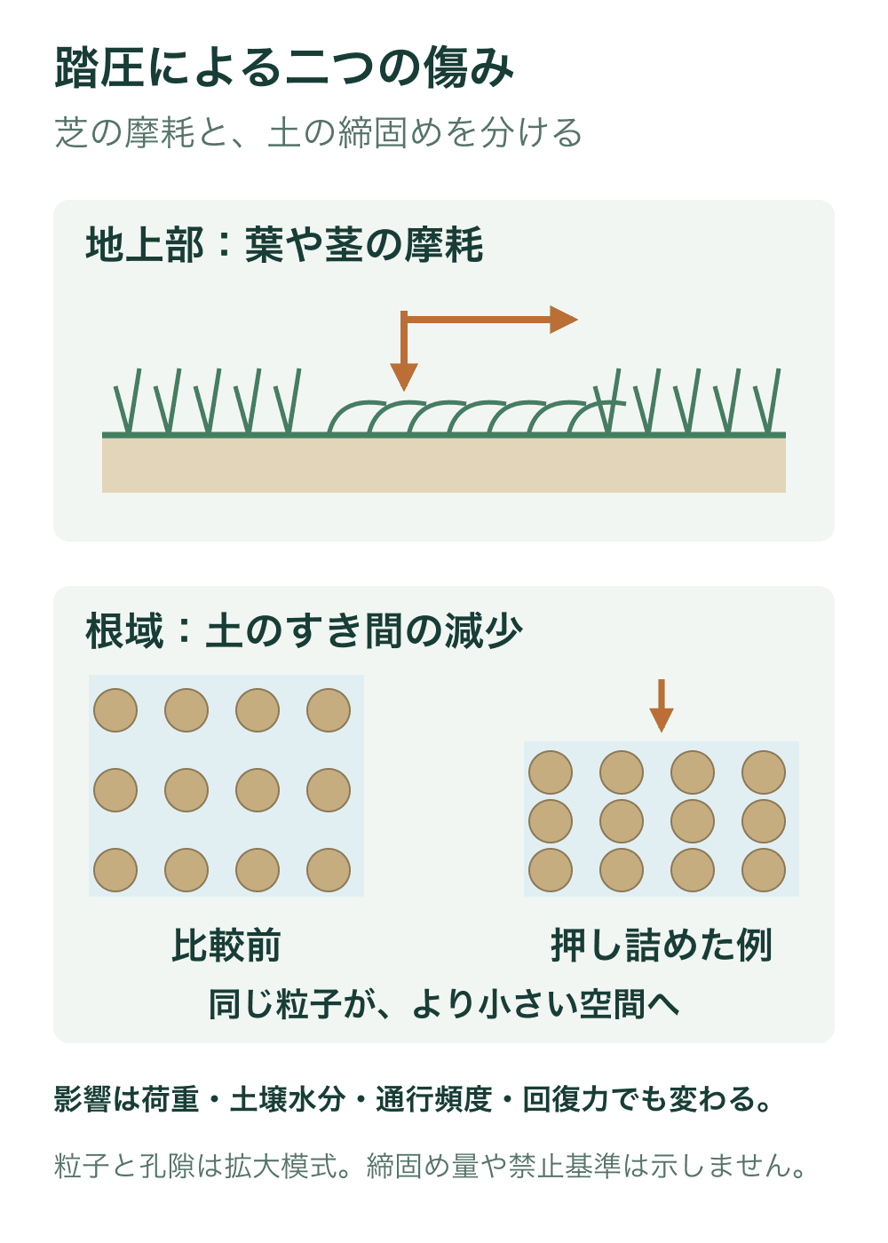 上段は踏圧と横ずれによる葉や茎の摩耗、下段は同数・同サイズの土粒子が上下に押し詰められてすき間が減る模式比較。