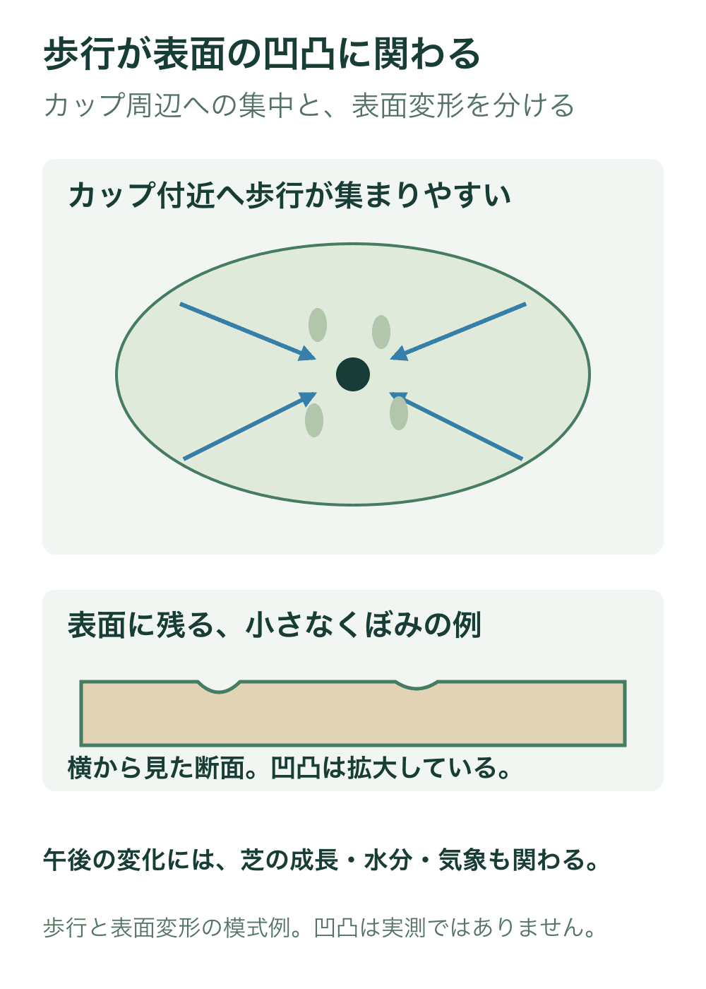 上段はカップへ向かう歩行が集中する平面例、下段は歩行等で芝表面に残る浅いくぼみを誇張して描いた断面例。