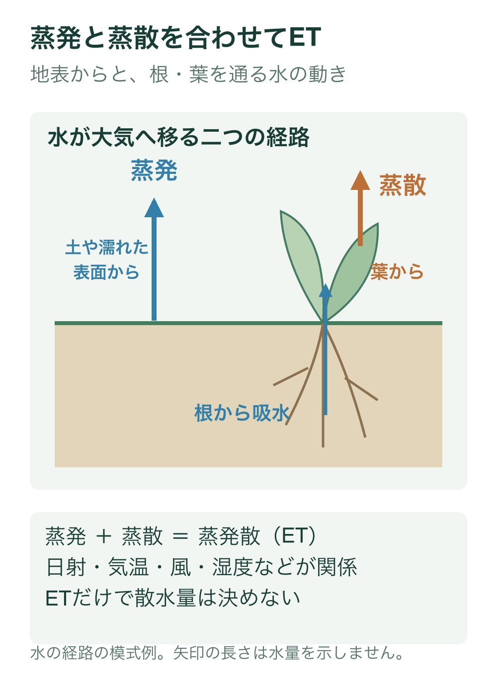 土の表面から大気へ向かう蒸発の矢印と、芝の根が吸った水が葉から大気へ向かう蒸散の矢印を分ける。蒸発と蒸散の合計が蒸発散ETであることを示す。