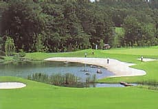 新武蔵丘ゴルフコース コース写真 1