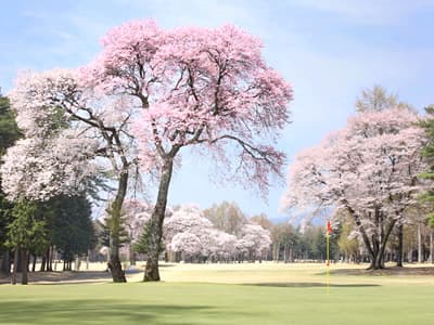 信州伊那国際ゴルフクラブ コース写真 1