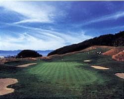 夏泊ゴルフリンクス コース写真 1